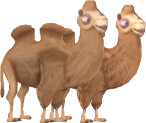 2011 Trampeltier - Bactrian Camel, HD Png Download PNG image with transparent background