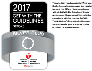 2017 Stroke Guidelines Award Silver Plus PNG image with transparent background