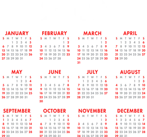 2019 Full Year Calendar Clipart PNG Image