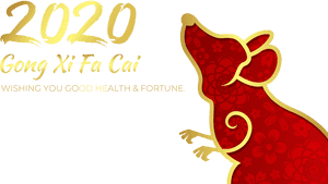 2020 Chinese New Year Party - Banner Chinese New Year 2020 Png, Transparent Png PNG image with transparent background