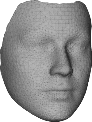 3 D Model Face Wireframe PNG image with transparent background