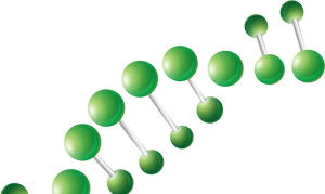 Computational Genomics Summer Institute - Graphic Design, HD Png Download PNG with transparent background