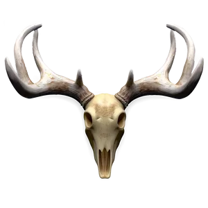 3d Antler Model Png 92 PNG Image