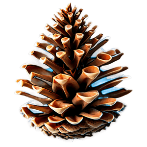 3D Pine Cone PNG 06202024 PNG
