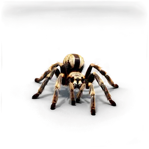 3d Rendered Tarantula Png Qpu PNG Image