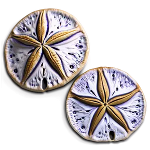 3d Sand Dollar Image Png Smj82 PNG Image