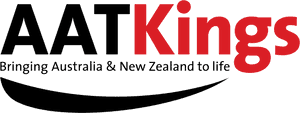 Aat Kings Logo PNG