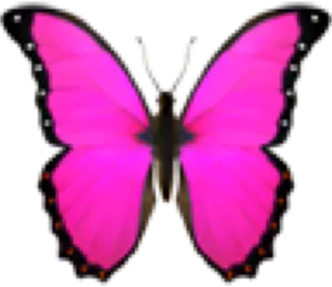 A Close-up View Of A Vivacious Pink Butterfly PNG Image