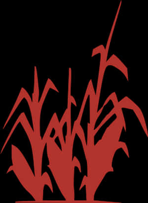 a red plant with black background PNG image with transparent background