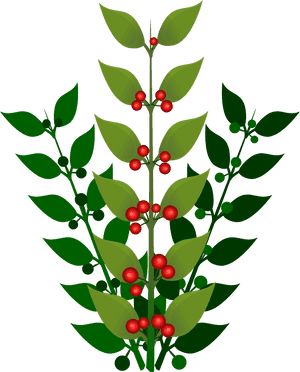 A Simple Branch With Berries Clip Arts - Bush Berry Clipart Transparent, HD Png Download PNG image with transparent background