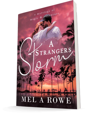 A Strangers Storm By Mel A Rowe - Flyer, HD Png Download PNG with transparent background