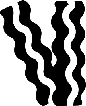 Bacon - Black And White Bacon Clipart, HD Png Download PNG image with transparent background