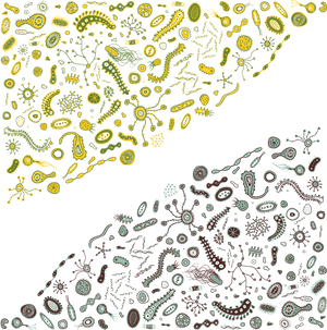 Bacteria Png Vector Icon, Transparent Png PNG with transparent background