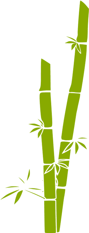 Free Vector Ok Pare - Bamboo Clipart, HD Png Download PNG with transparent background