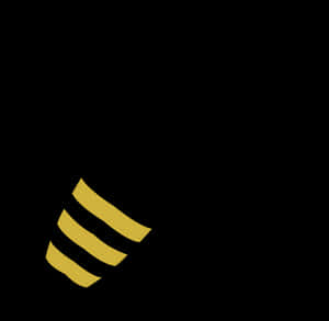 A Structured Gap Year Can Be Just What You Need - Bee, HD Png Download PNG image with transparent background