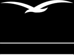 Abstract Bird Silhouette PNG image with transparent background