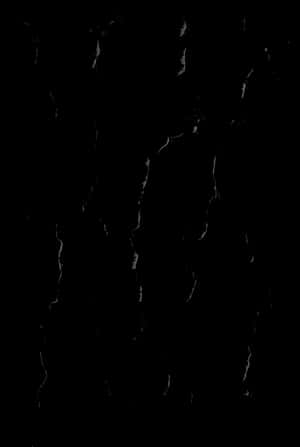 Cracks Png, Transparent Png PNG