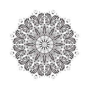 Abstract_ Black_ Mandala_ Pattern PNG Image