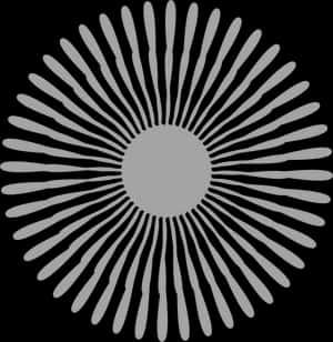 Abstract Blackand White Starburst Pattern PNG