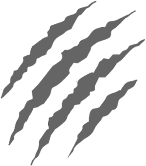 Scratches Png Free Download - Wolf Scratch, Transparent Png PNG with transparent background
