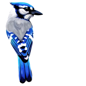 Abstract Blue Jay Image Png Cso76 PNG Image