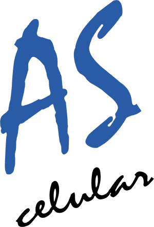 Calligraphy, HD Png Download PNG with transparent background