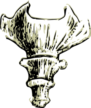 Abstract Bone Illustration PNG image with transparent background