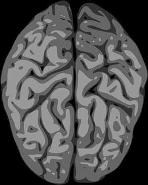 Abstract Brain Illustration PNG image with transparent background