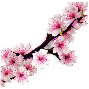 Abstract Cherry Blossom Background PNG 1 PNG image with transparent background