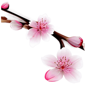 Abstract Cherry Blossom Background PNG 43 PNG image with transparent background