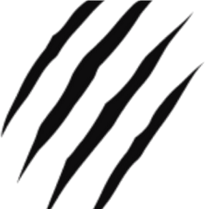 Scratch Tiger Png, Transparent Png PNG with transparent background