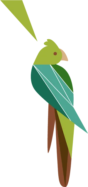 Abstract Cockatoo Artwork PNG Image