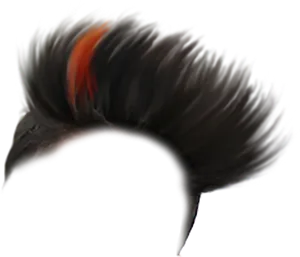 Abstract Cockatoo Feather Hairstyle PNG Image