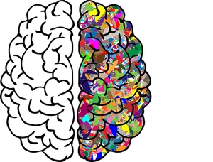 Abstract Colorful Brain Art PNG Image