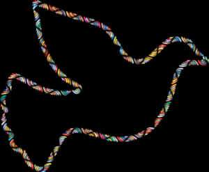 Abstract Colorful Dove Silhouette PNG image with transparent background