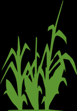 Abstract Corn Stalks Silhouette PNG image with transparent background