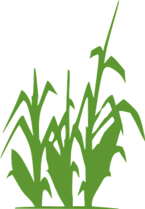 Abstract Corn Stalks Silhouette PNG Image