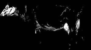 Abstract Cow Sketch Art PNG image with transparent background