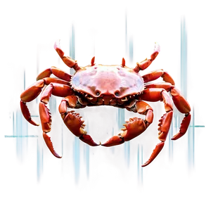 Abstract Crab Concept Png Ead PNG Image