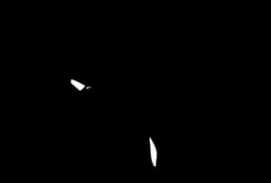 Abstract Crowin Darkness PNG image with transparent background