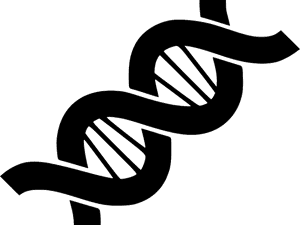 Abstract D N A Double Helix PNG with transparent background