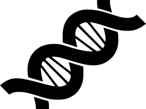 Abstract D N A Double Helix PNG Image
