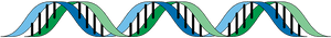 Abstract D N A Double Helix Illustration PNG with transparent background