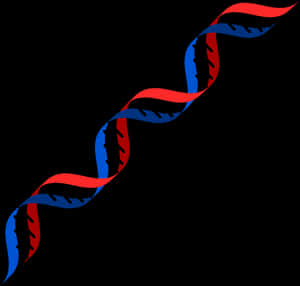 Abstract D N A Double Helix Illustration PNG
