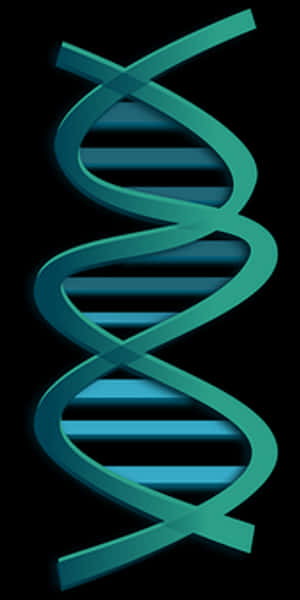 Abstract D N A Double Helix Illustration PNG