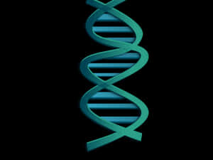 Abstract D N A Double Helix Illustration PNG