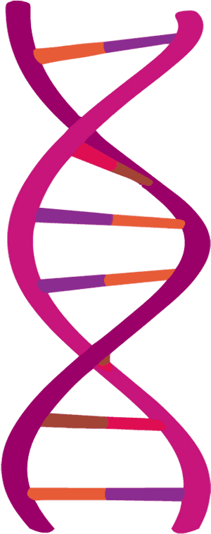 Abstract D N A Double Helix Illustration PNG