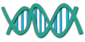 Abstract D N A Double Helix Illustration PNG Image