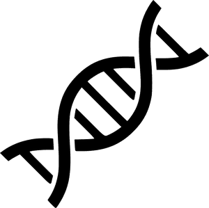 Abstract D N A Double Helix PNG with transparent background