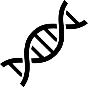 Abstract D N A Double Helix PNG Image